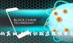 币圈圈钱的真相：如何识
