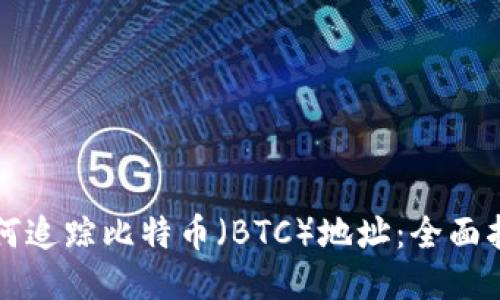 如何追踪比特币（BTC）地址：全面指南