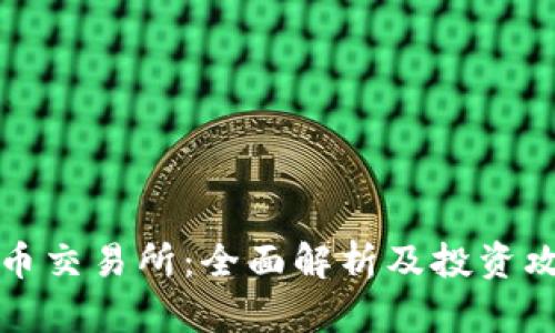 VV币交易所：全面解析及投资攻略