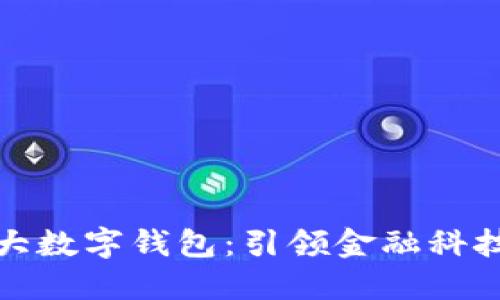 全球最大数字钱包：引领金融科技新时代
