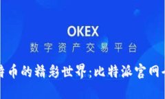 探索比特币的精彩世界：