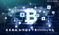 简易指南：如何安全下载