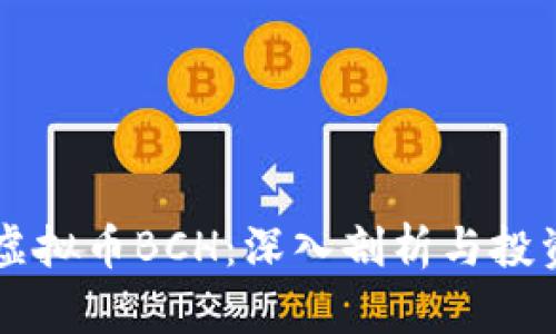 关于虚拟币BCH:深入剖析与投资前景