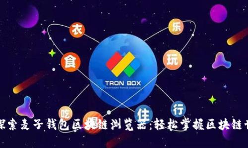 全面深入探索麦子钱包区块链浏览器：轻松掌握区块链世界的钥匙